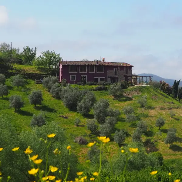 farmhouse owners tuscany